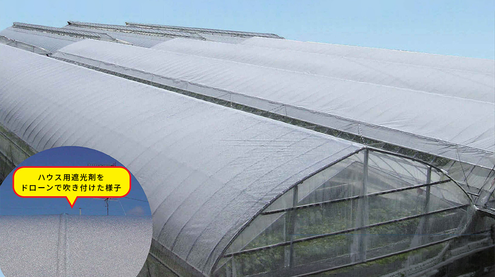 ハウス用遮光剤の紹介